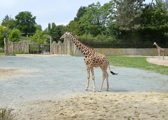 Penzion Katerina Broumov