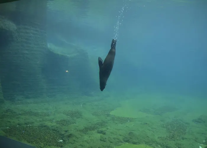 Penzion Katerina Broumov