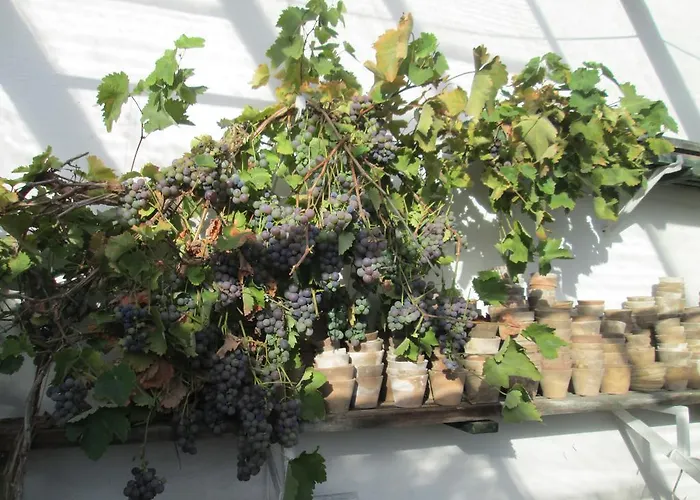 Penzion Katerina Broumov